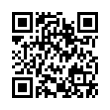 QR Code (код быстрого отклика)