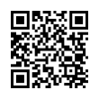 QR Code (код быстрого отклика)