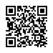 QR Code (код быстрого отклика)