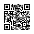 QR Code (код быстрого отклика)